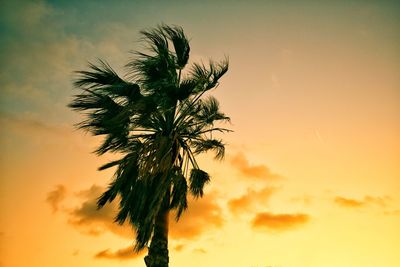 Low angle view of coconut palm tree against romantic sky