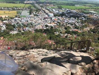 High angle view of flowering trees by rocks