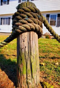 Close-up of wooden post on field