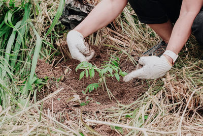 High angle view of hands and plants on field