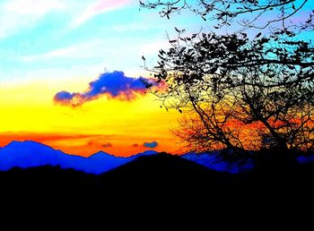 Close-up of silhouette tree against sky during sunset