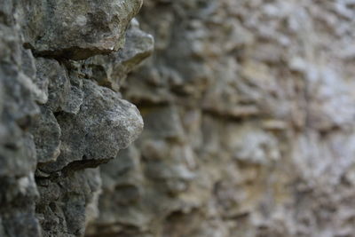 Close-up of rock