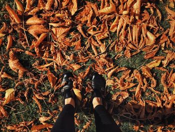 Low section of person standing amidst autumn leaves on field