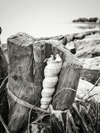 Close-up of fishing net on wooden post