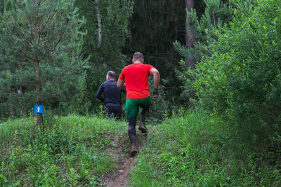 Rear view of men walking on trail in forest