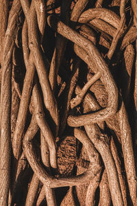 Full frame shot of dead tree