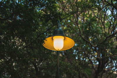 Illuminated lamp post against trees at park
