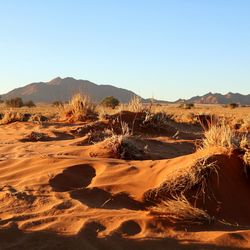 Scenic view of desert against clear sky