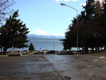 Cars on city by trees against clear sky