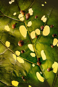 High angle view of plants growing on table