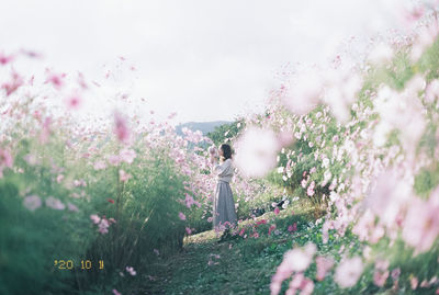 Low angle view of woman standing by flowering plants