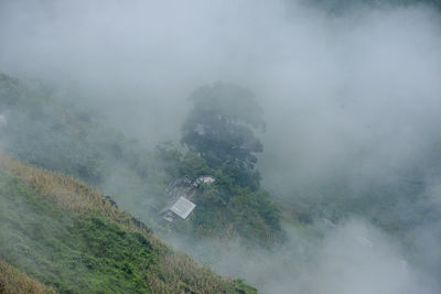 High angle view of trees on land