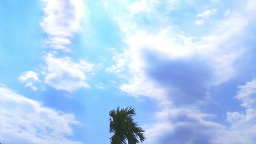 Low angle view of trees against cloudy sky