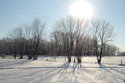 Bare trees on snow covered field against sky