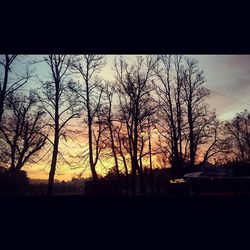 Silhouette of trees at sunset