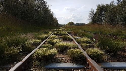 View of railroad track on field