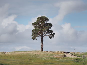 View of tree on landscape against clouds