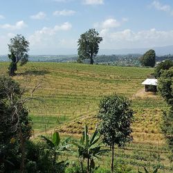 Scenic view of landscape against cloudy sky