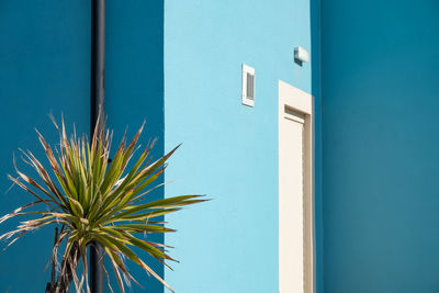 Close-up of blue wall of building