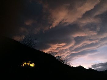 Low angle view of silhouette tree against sky at night