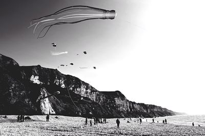 Hot air balloons flying in sky