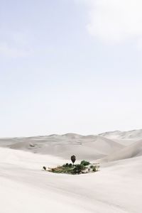 Scenic view of desert against sky