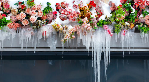 Snow-covered flowers on the balcony with long ice icicles, copy space.