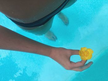 High angle view of swimming pool