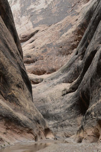 Rock ribs inside the waterpocket fold in halls creek narrows.