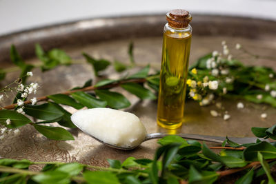 Close-up of olive oil and spoonful of coconut oil