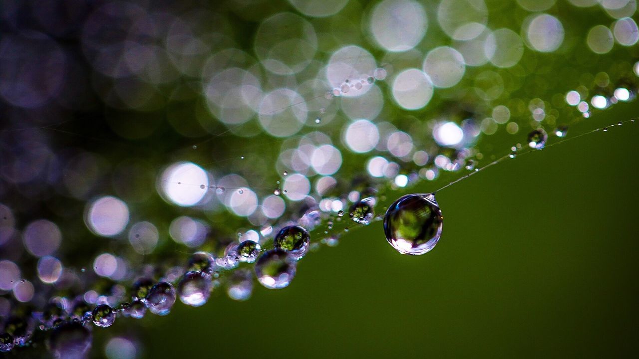 water, drop, close-up, lens flare, leaf, focus on foreground, selective focus, nature, day, tranquility, plant, growth, beauty in nature, outdoors, freshness, purity, dew, fragility, surface tension, green color, extreme close-up, majestic, bright