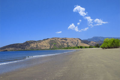 Scenic view of beach against blue sky