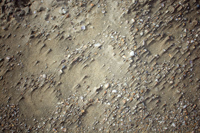 Full frame shot of wet rocks