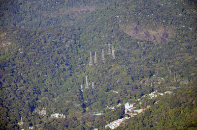 Trees against sky