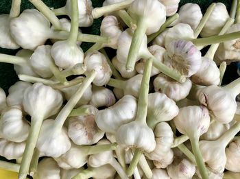 Full frame shot of white roses in market
