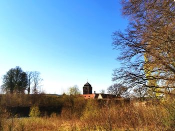 Trees growing on field against clear sky