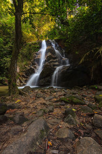 Scenic view of waterfall in forest