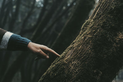 Cropped hand of man holding tree trunk