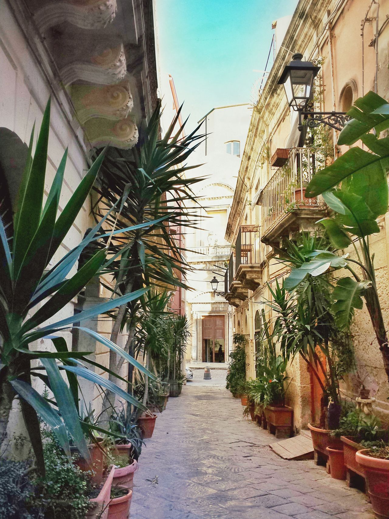 Giudecca - Siracusa