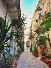 Narrow alley with buildings in background