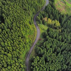 High angle view of road