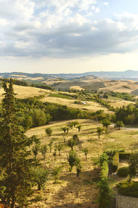 Scenic view of landscape against sky