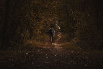 Rear view of man walking at forest