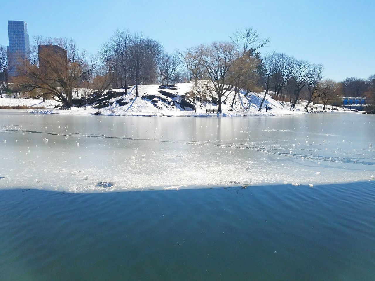 BARE TREES IN LAKE AGAINST CLEAR SKY DURING WINTER