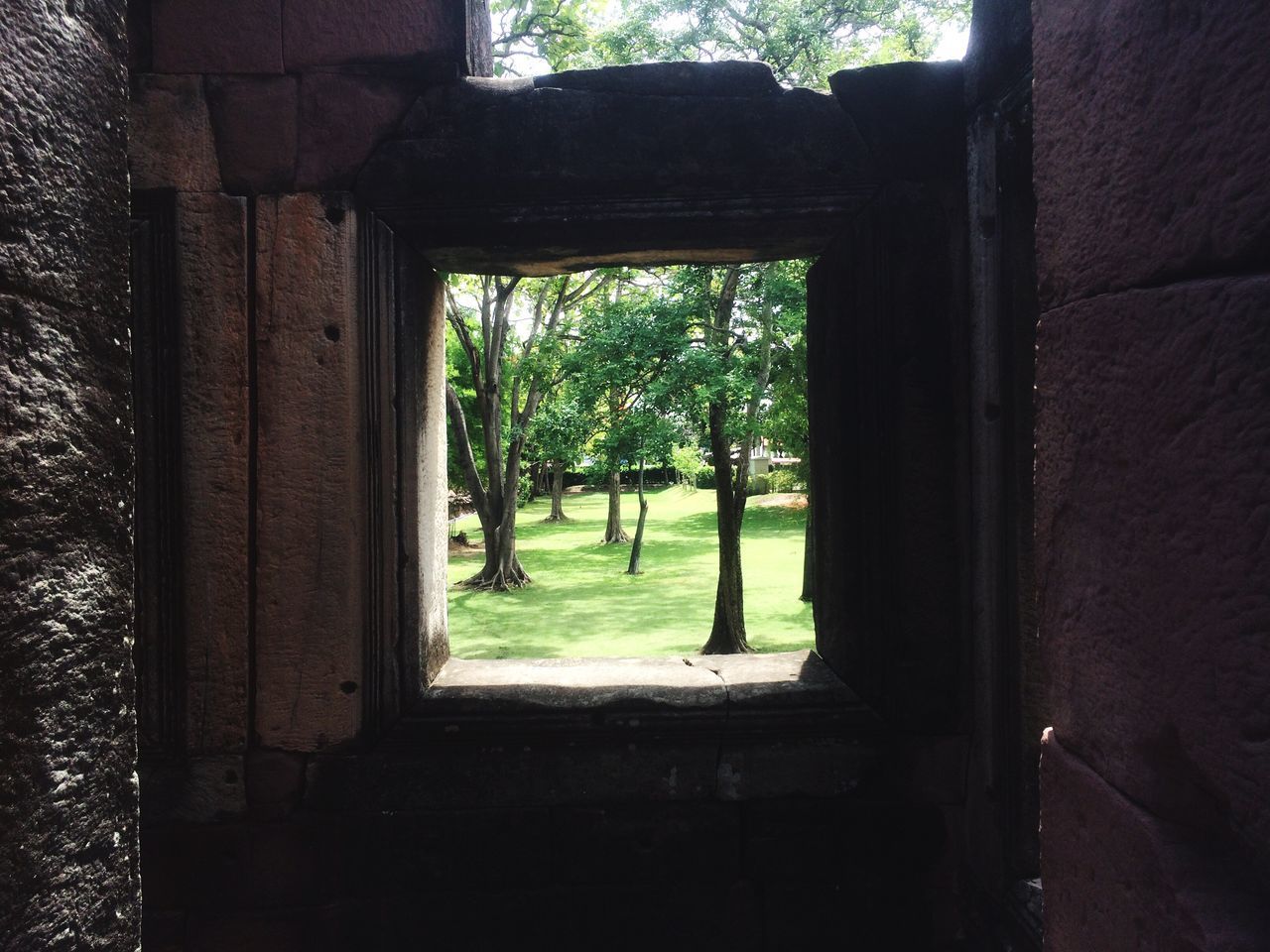 day, tree, no people, window, built structure, outdoors, nature, architecture, beauty in nature