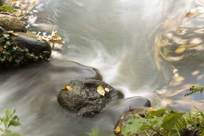 Scenic view of waterfall