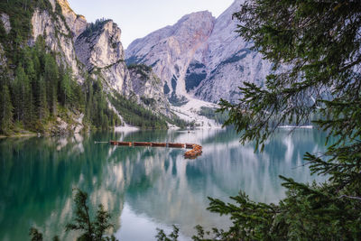 Panoramic view of lake and mountains in forest