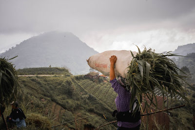 Rear view of woman carrying crops overhead against landscape