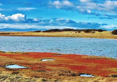 Scenic view of sea against blue sky