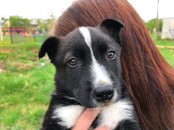 Close-up portrait of dog with woman 